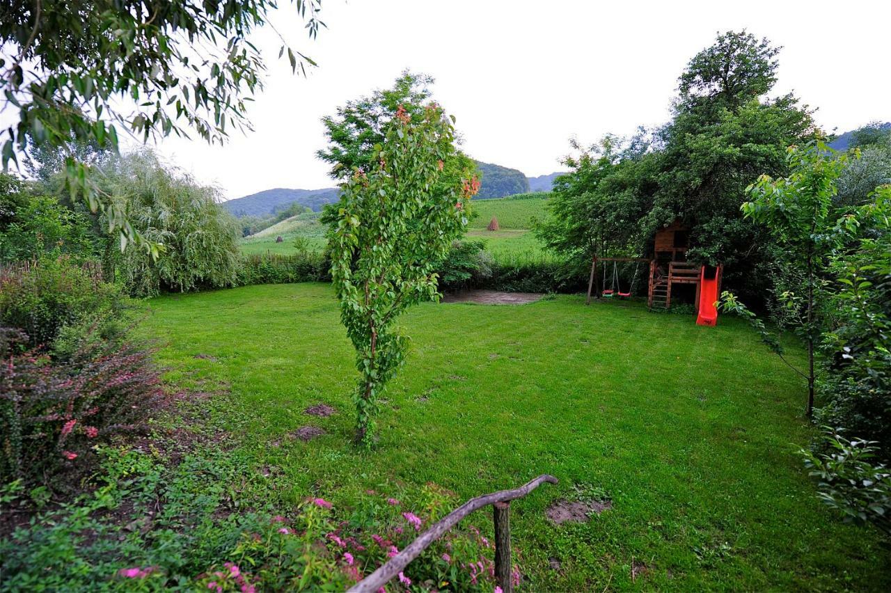 Transylvanian Country House Vetca Exterior photo